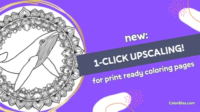 One Click Upscaling