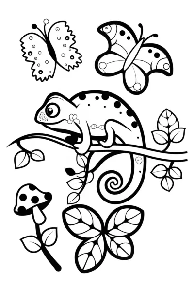 Animal for Kids