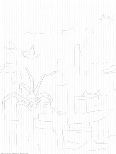 Spider for Kids
