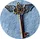 DIVINE QI® / Writers Qi LLC