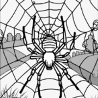 Spider in the Web