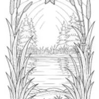 Starry Night Over Serene Lake