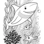 Shark and Fish