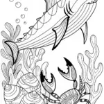 Shark and Lobster