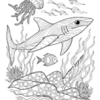 Shark and Octopus Underwater Adventure Coloring Page