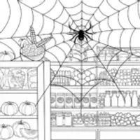 Spider’s Grocery Adventure