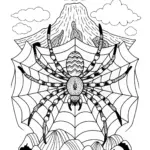 Spider on a Web in Nature