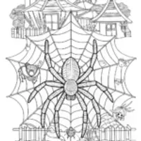 Spider in a Web at a Zoo