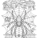 Spider in a Web at a Zoo