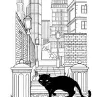Black Panther in the City Streets