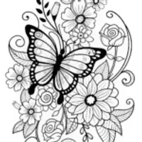Butterfly and Blossoms Coloring Page