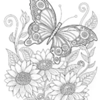 Butterfly on a Sunflower