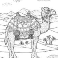 Majestic Camel Adventure Coloring Page