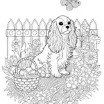 Cavalier King Charles Spaniel Coloring Page