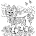 Fluffy Dog Coloring Page