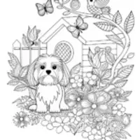 Fluffy Dog in a Swirly Background