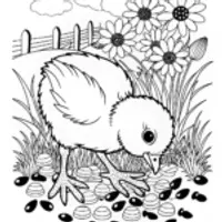 Curious Chick Pecking at Seeds