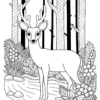 Majestic Deer in the Wild Coloring Page
