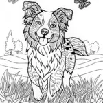 Border Collie Portrait Coloring Page