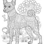 Detailed Basenji