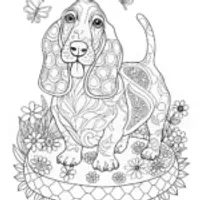 Basset Hound Coloring Fun