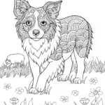 Border Collie Coloring Fun