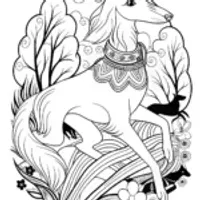 Happy Collie Coloring Page