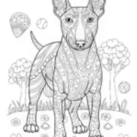 Bull Terrier Coloring Page