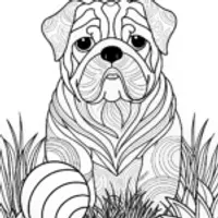 Detailed Bulldog