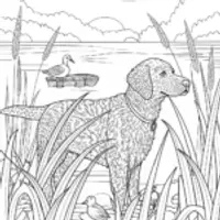 Loyal Labrador Coloring Page