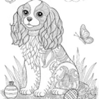 Detailed Cocker Spaniel Coloring Page