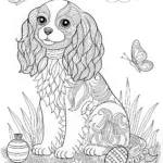 Detailed Cocker Spaniel Coloring Page