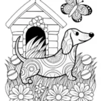 Detailed Dachshund