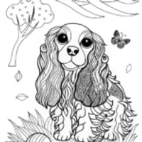 Cocker Spaniel Coloring Fun