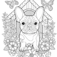 French Bulldog Adventure Coloring Page
