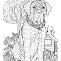 Mastiff Dog Coloring Page
