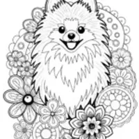 Detailed Pomeranian