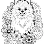 Detailed Pomeranian