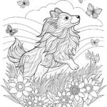 Majestic Collie Coloring Page