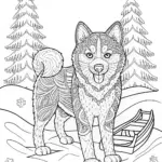 Detailed Siberian Husky