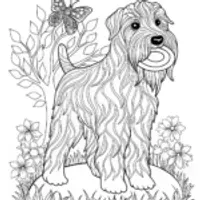 Terrier Dog Coloring Page