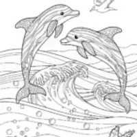 Dolphin’s Serene Ocean Adventure