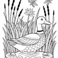 Duck by the Lake Coloring Page