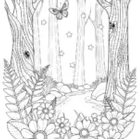 “Enchanted Forest with Butterfly”