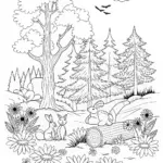 Enchanting Woodland Scene