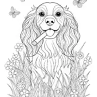 Spaniel Puppy Coloring Page.