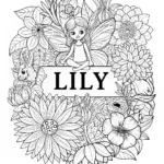 Fairy Lily’s Artistic Adventure