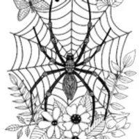 Spider in the Garden Coloring Page