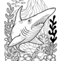 Ocean Adventure with the Great White Shark