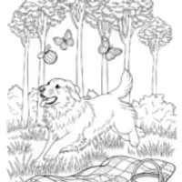 Golden Retriever Joy